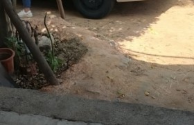 佰信驾校